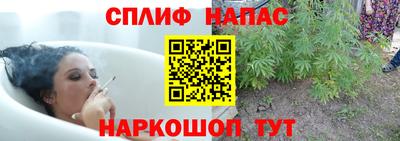apvp Будённовск