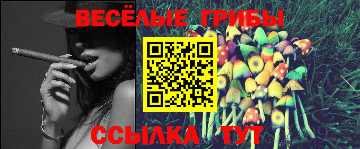 Псилоцибиновые грибы Magic Shrooms Кореновск