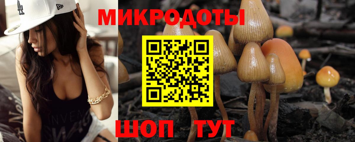 Кореновск  Псилоцибиновые грибы MAGIC MUSHROOMS  Вход с VPN  Галлюциногенные грибы Cubensis 